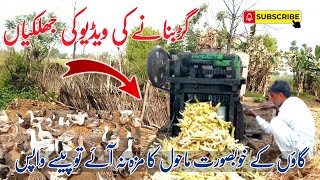 How to made pure Jaggery|خالص گڑ کیسے بنتا ہے #farooqiqbalvlogs by Farooq Iqbal Vlogs 132 views 1 year ago 3 minutes, 15 seconds