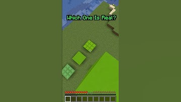 Can You Guess the Real Block in Minecraft?
