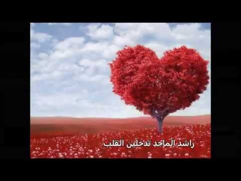 راشد الماجد تدخلين القلب 2013rashed al majed tadkhleen alkalbe