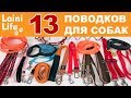 Обзор всех поводков для собак | HAUL