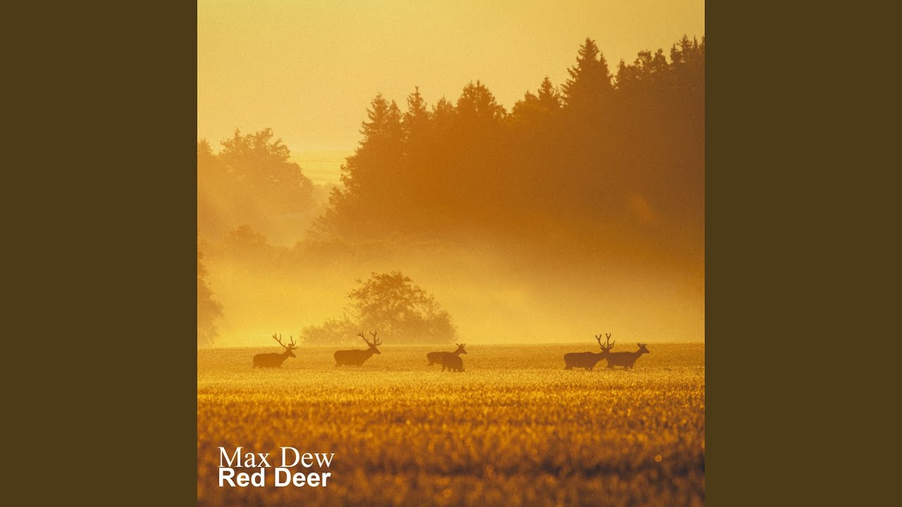 Watch Red Deer on YouTube Watch Red Deer on YouTube