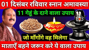 1 दिसंबर रविवार मार्गशीर्ष अमावस्या को 11 गेहूं के दाने वाला उपाय जरूर करे || Pradeep Ji Mishra