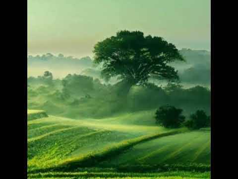 Redmi Alarm Tone Morning Dew 