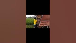 Download lagu Tugas 2 LUHT4429 Rita Purnamawati