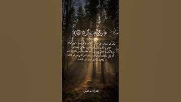 تلاوة من سورة النبأ للقارئ احمد النفيس #المصحف #راحة_نفسية #القرآن_الكريم #احمد_النفيس #اكسبلور