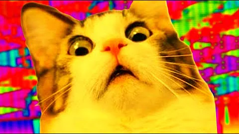 300 SUBSCRIBERS 300000 NOTES!!!