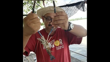 Memburu udang galah Jenggo di Sungai Perak, Teluk Intan Perak + Resepi maggie udang galah atas bot!