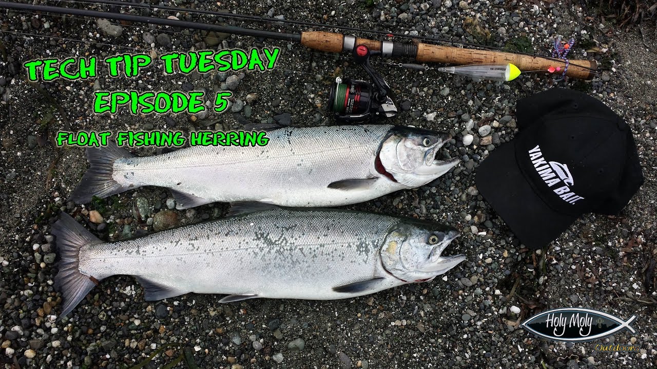 Tech Tip Tuesday Episode 5  Float Fishing Herring for Coho 