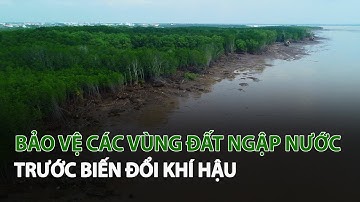 Bảo vệ các vùng Đất Ngập Nước trước Biến Đổi Khí Hậu| VTC14