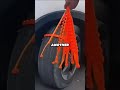 I Followed The Rules Then They Wanted Me To Stop