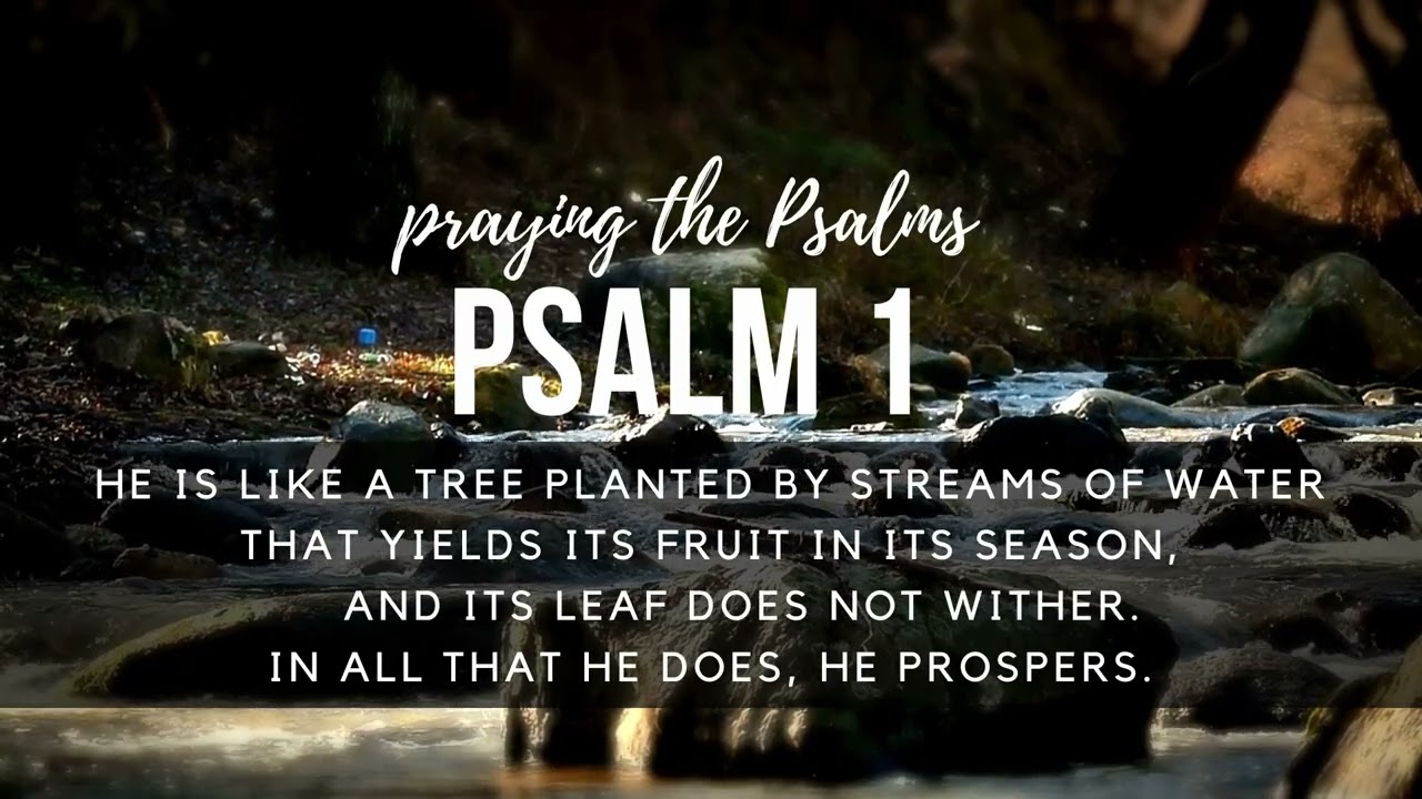 Guide for Praying Psalm 1