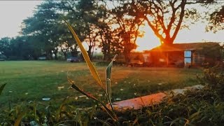 CINEMATIC ALAM | CINEMATIC PAGI CERAH | nature cinematic video | Nature cinematic video