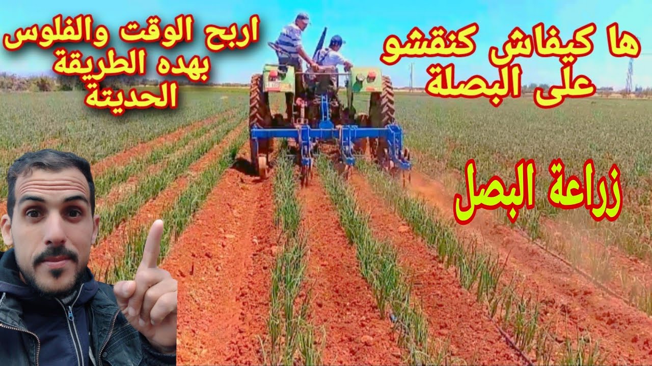 الجديد ها كيفاش تنقشو على البصلة في وقت وجيز وباقل تكلفة الطريقة العصرية والحديتة