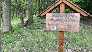 Kružický vrch 536m.nm. Cele video s informacemi pro vylet