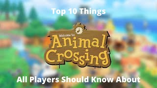Animal Crossing Top 10 Things All Players Should Know About