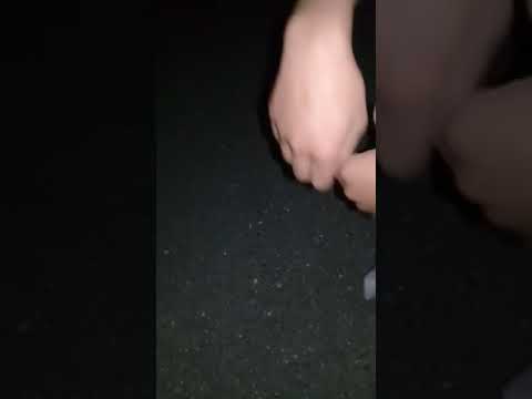رد مشاري ل فصعت شجاع