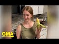 We need to try this brilliant corn shucking hack l GMA