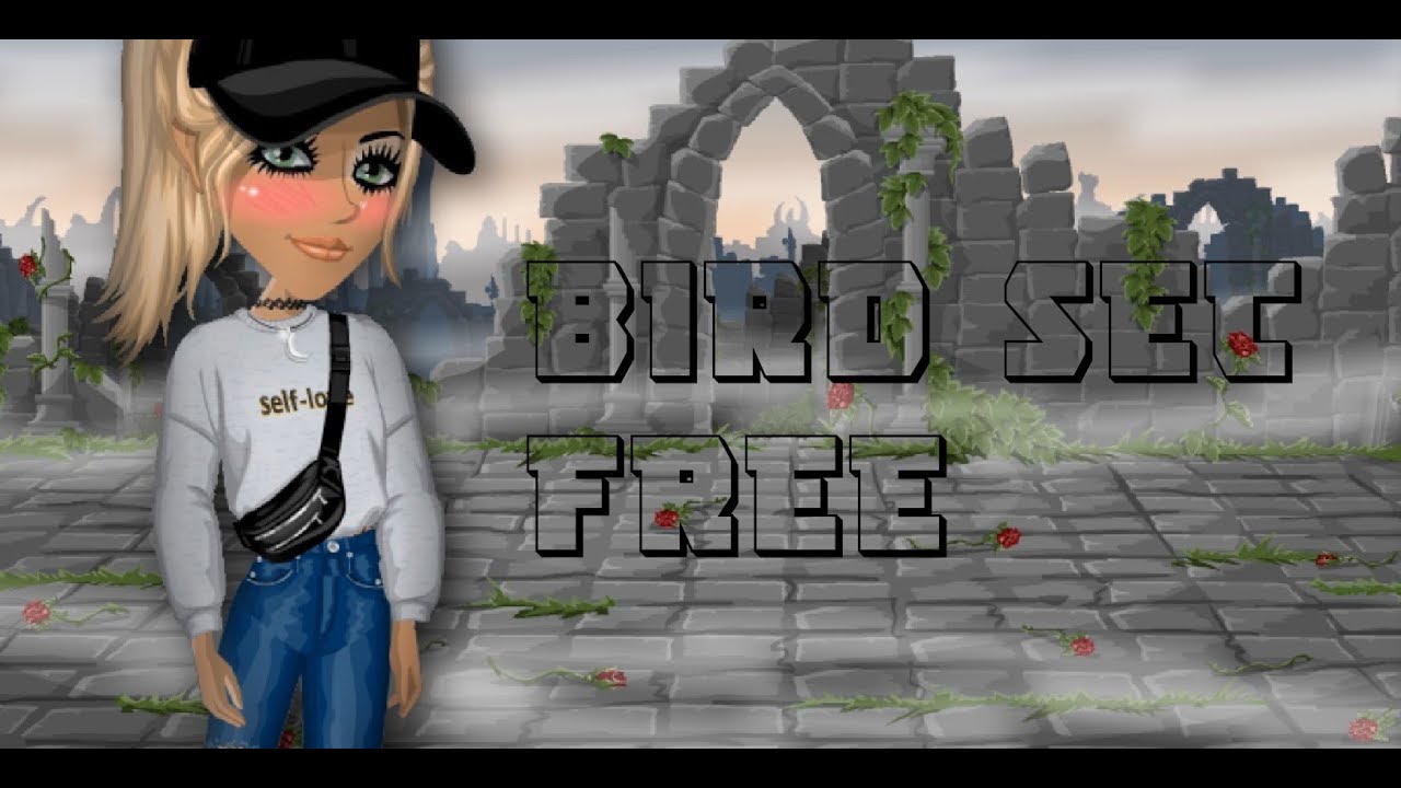 BIRD SET FREE - MSP VERSION 🕊 - YouTube
