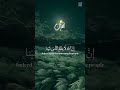 افانت تهدي العمي ولو كانوا لا يبصرون عبدالرحمن مسعد قران الكريم Beautifullquran سبحان الله