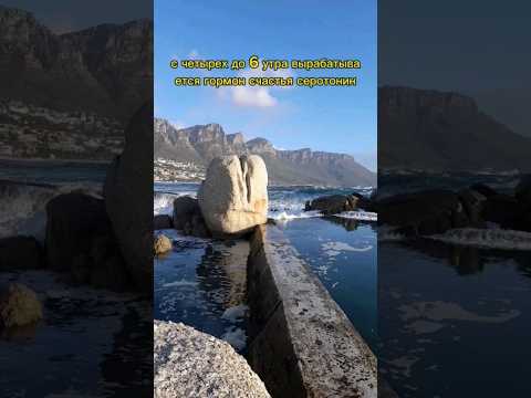 Гормональные расписание .#motivation #capetown #southafrica #campsbay #ocean #beach