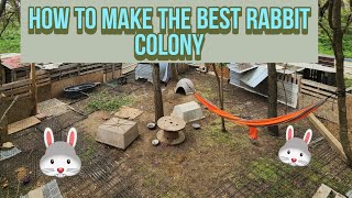 how To make the best rabbit colony for beginners