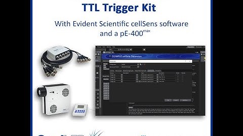 How to trigger the pE-400max in Evident cellSens using the pE-6501 TTL Trigger Kit