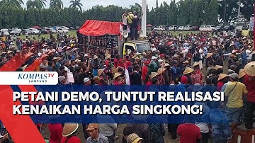 Ribuan Petani Demo Tuntut Realisasi Kenaikan Harga Singkong