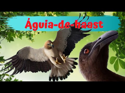 Vídeo: Quando a Haast Eagle foi extinta?