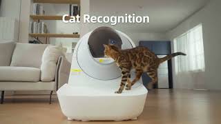 Catlink Automatic Self Cleaning Litter Box Scooper Luxury Pro-X