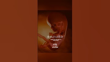 إقرأ باسم ربك الذي خلق_ تلاوة عذبة من سورة العلق بصوت الشيخ فارس عباد_#quran