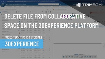 Delete Files from Collaborative Space on the 3DEXPERIENCE Platform