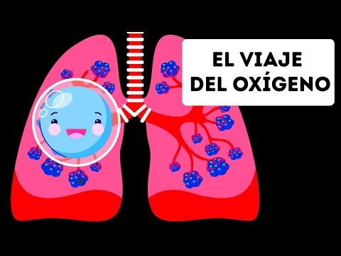 Video: ¿Los humanos exhalamos dióxido de carbono?