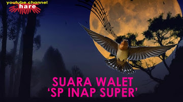 SUARA WALET 