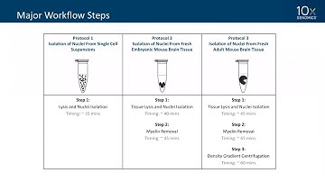 10x-pert Workshop | How to Single Nuclei RNA-seq
