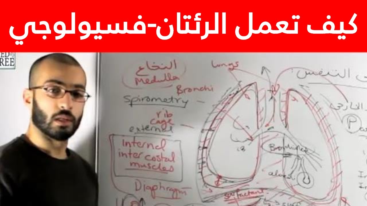 عملية التنفس الداخلي يتم بين الدم وخلايا الجسم