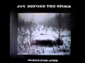 Joy Before The Storm - We're All Alone
