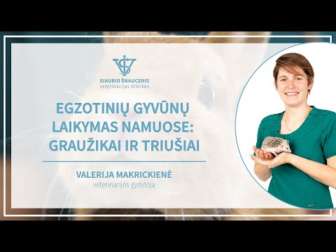 Video: Kaip išvalyti „Gerbil“narvą: 13 žingsnių (su nuotraukomis)