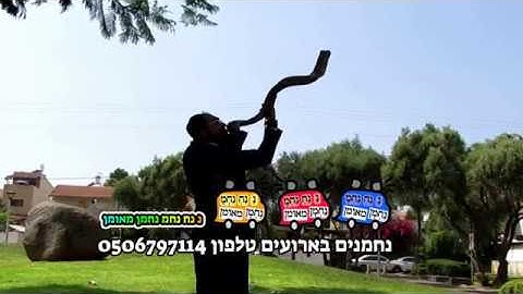 בנימין דנישמן - פעם בשנה | לכבוד אומן ראש השנה | פרוייקט רמזור אדום