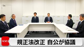 「連座制の仕組み」必要で一致　「議員の責任厳格化」へ対策（2024年4月24日）