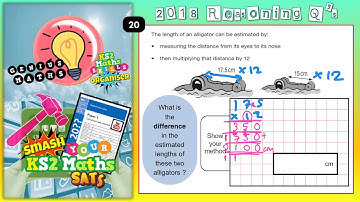 2018 KS2 MATHS SATS Paper 2 Q20