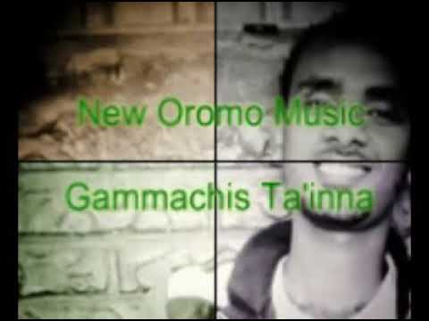 Gammachis Ta Inna New Afaan Oromo Music 