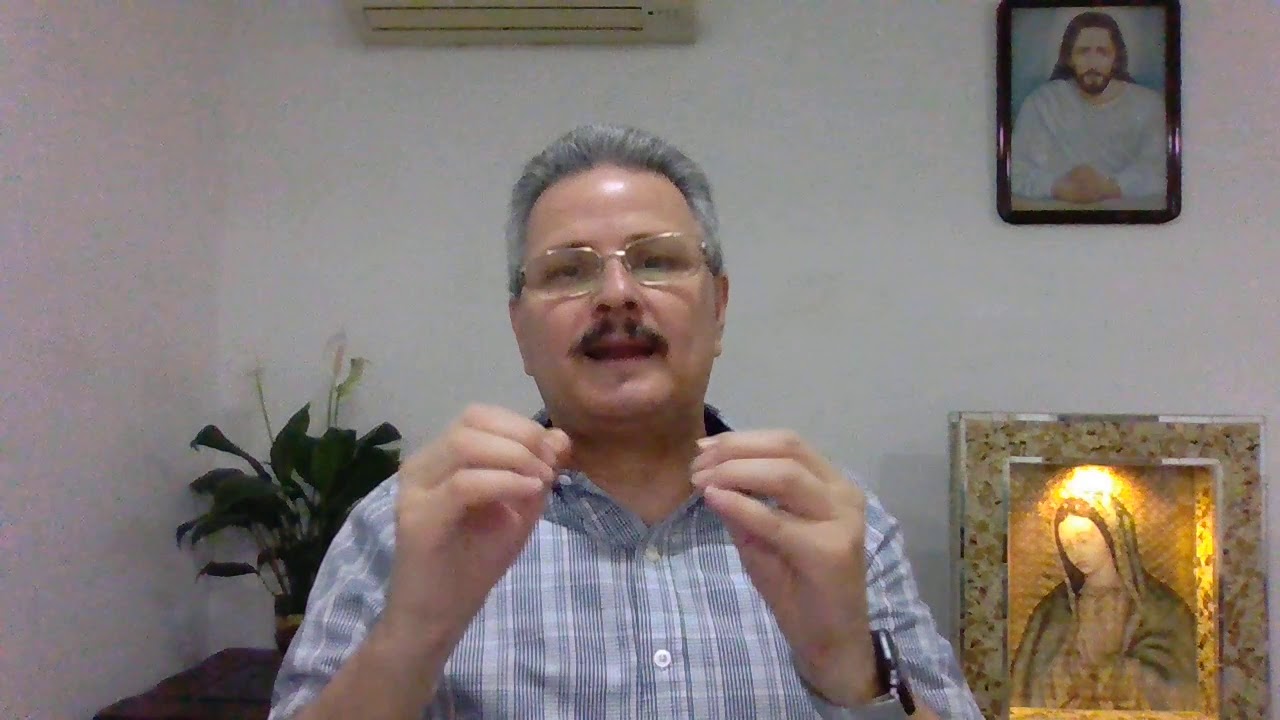 DOGMAS MARIANOS YouTube