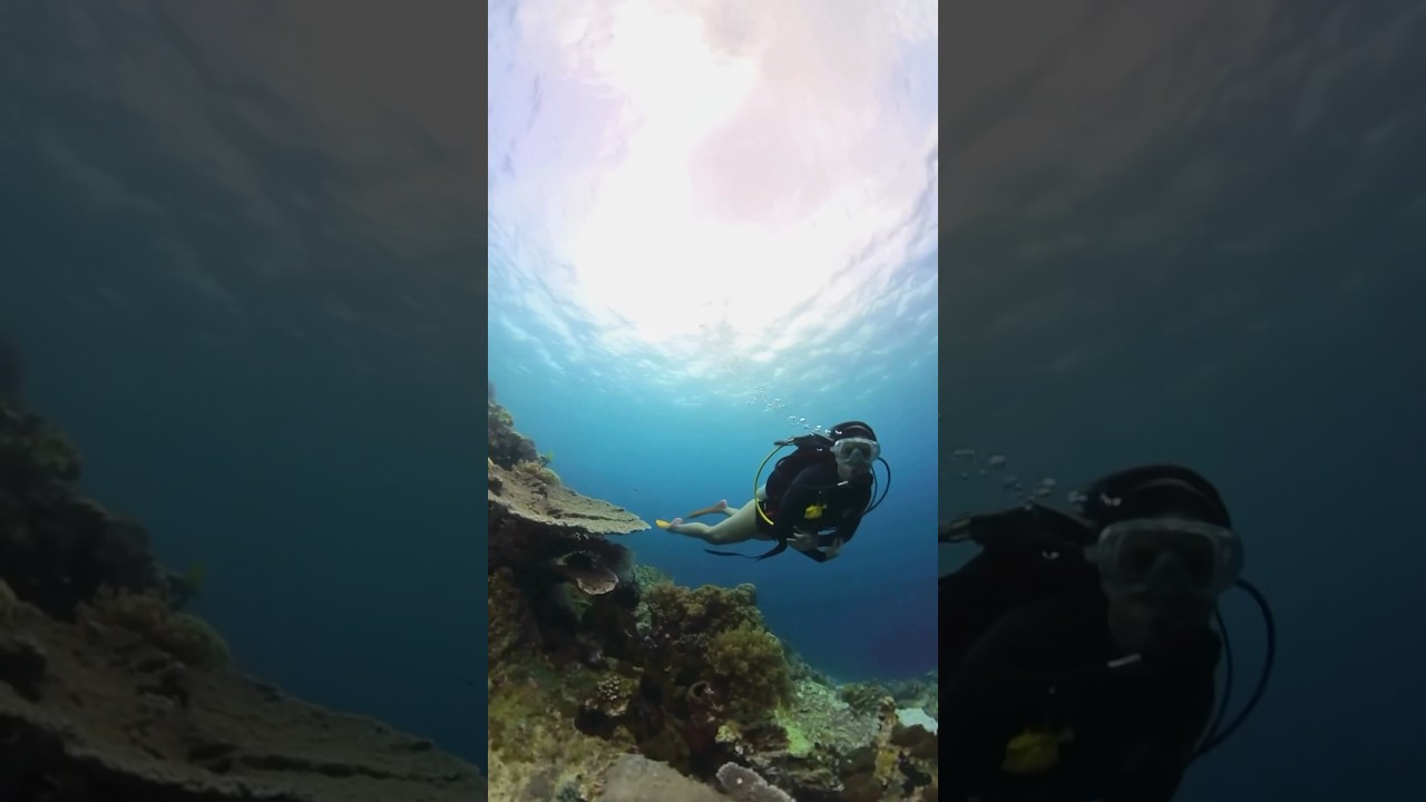 Amazing wakatobi😍😍 anybody dive here already? 