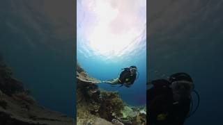 Amazing wakatobi😍😍 anybody dive here already? #travel #divingindonesia