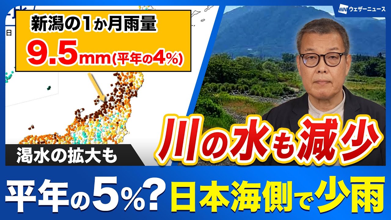 表象は感染する 文化への自然主義的アプローチ 表象は感染する: 文化への自然主義的アプローチ | ダン