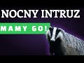 Coś przychodzi w nocy i wyjada paszę dla kur. Mamy go! Zobacz co to za nocny gość!