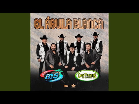 Banda MS de Sergio Lizárraga & Los Tucanes De Tijuana - El Águila Blanca