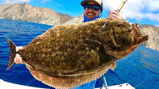 Catalina Island Halibut Fishing (Camping, Catch, Clean and Cook)