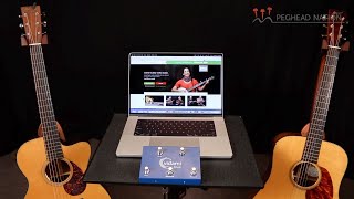 Vidami Blue demo from Peghead Nation