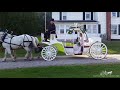 Grand entrance and exit for bride and groom – Horse Drawn Carriage – Cinderella Carriage 73